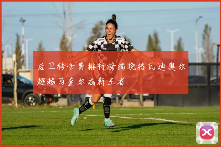 后卫转会费排行榜揭晓格瓦迪奥尔超越马奎尔成新王者